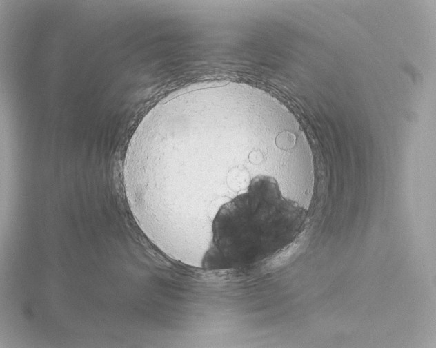 X0000115040624200912071110