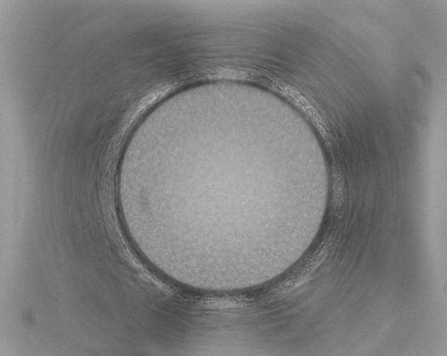 X0000115040625200912071110