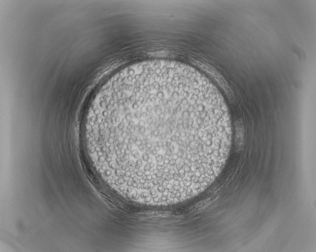 X0000115040626200912071110