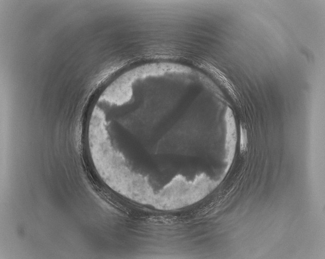 X0000115040627200912071110