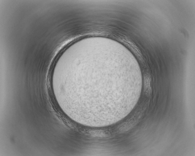 X0000115040628200912071110