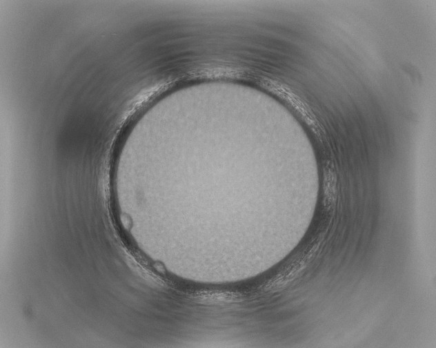 X0000115040629200912071110