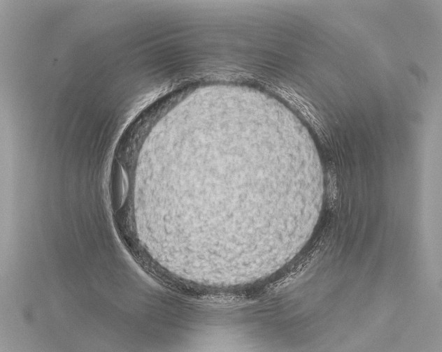 X0000115040630200912071110