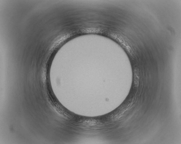 X0000115040631200912071110