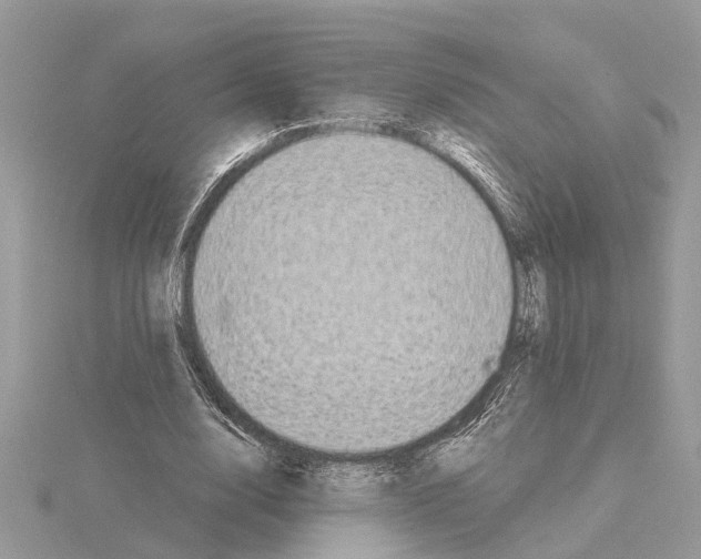 X0000115040632200912071110