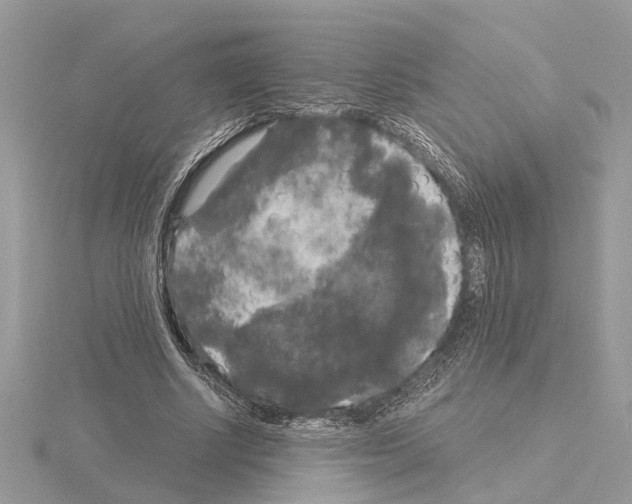 X0000115040634200912071110