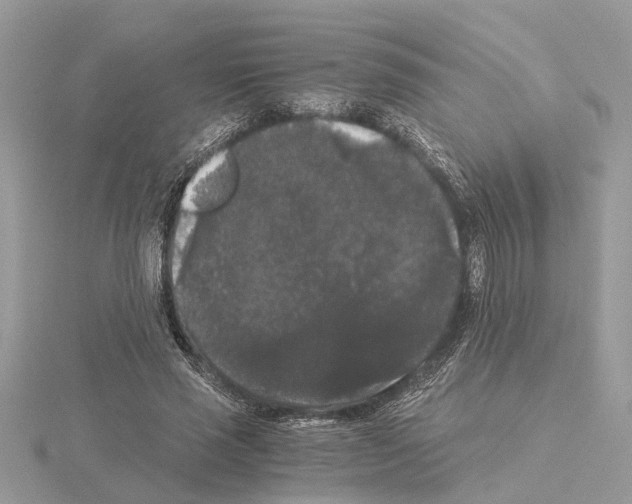 X0000115040637200912071110