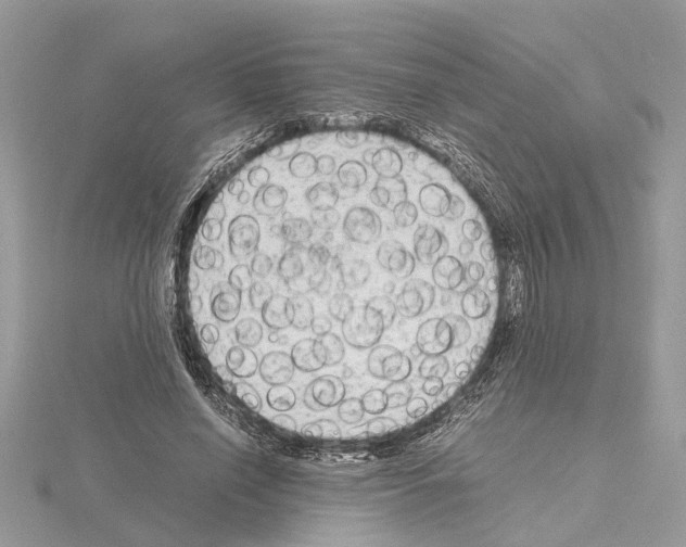 X0000115040638200912071110