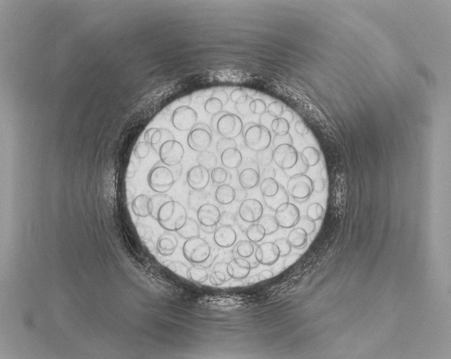 X0000115040639200912071110