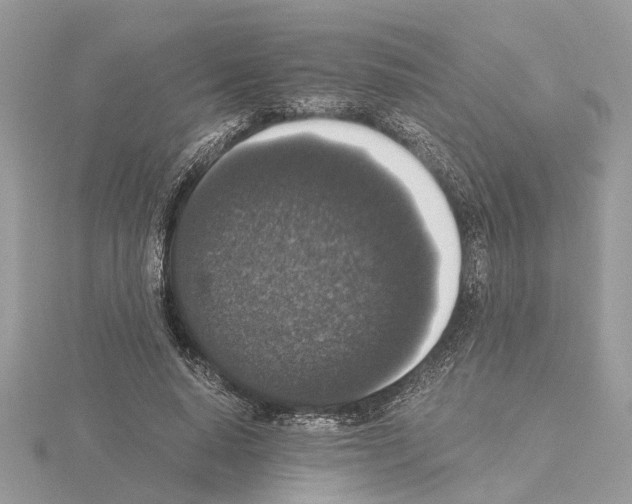 X0000115040640200912071110