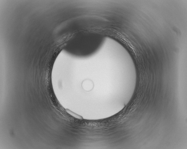 X0000115040641200912071110