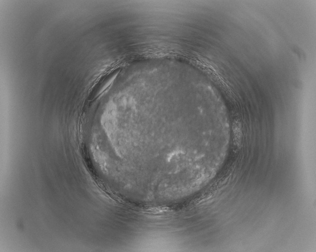 X0000115040642200912071110