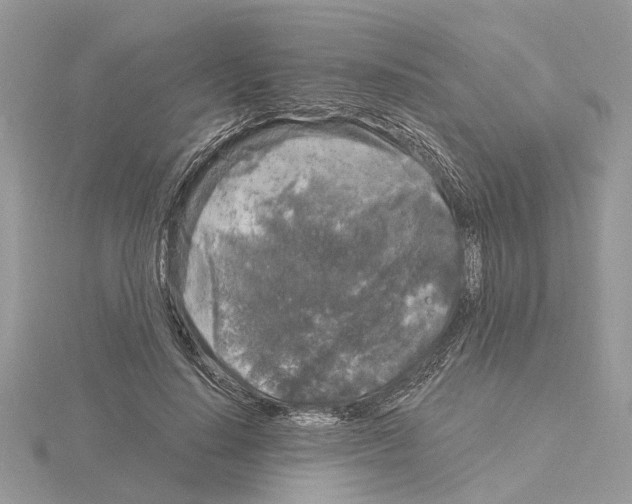 X0000115040644200912071110