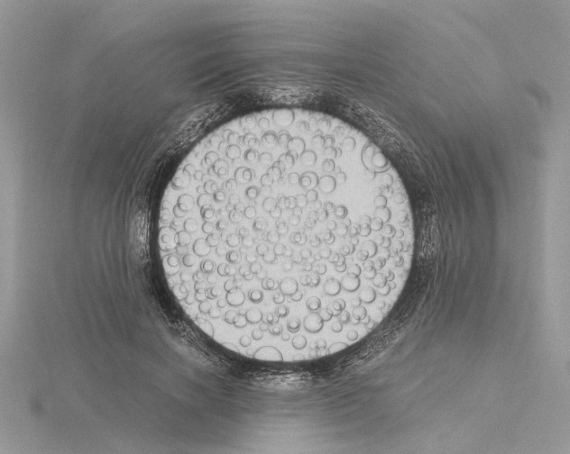 X0000115040646200912071110