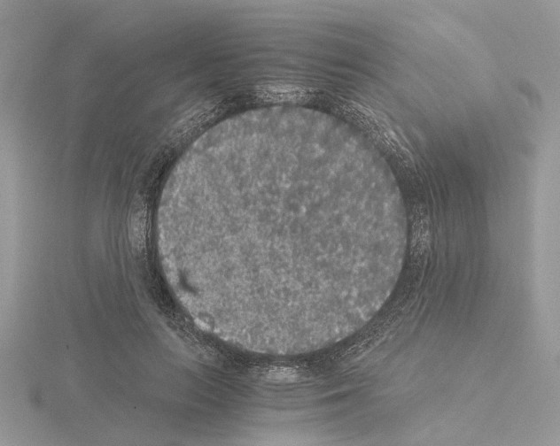 X0000115040647200912071110