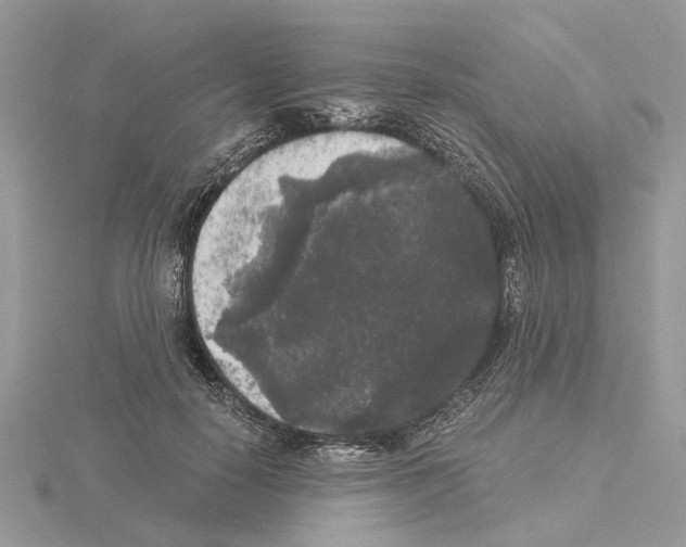 X0000115040650200912071110