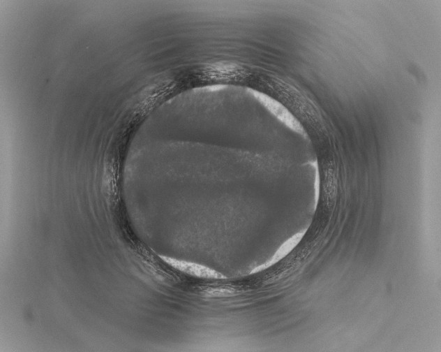 X0000115040653200912071110