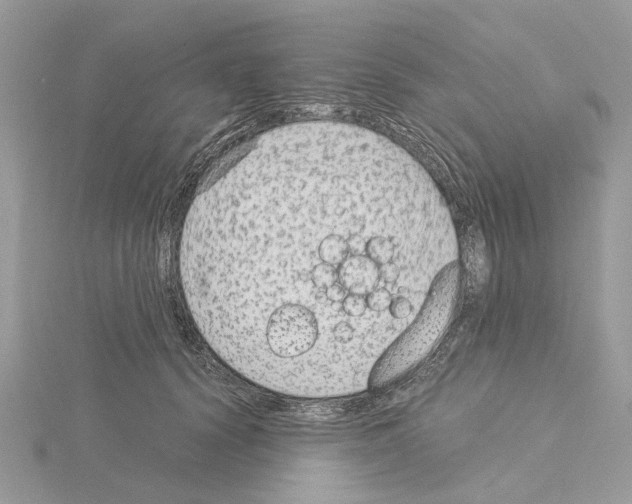 X0000115040656200912071110