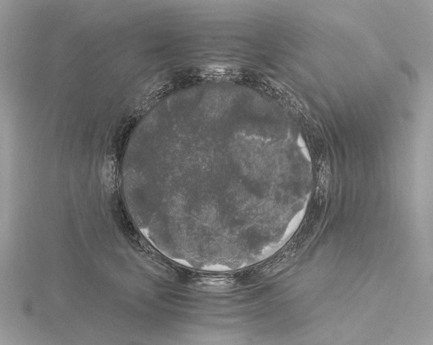 X0000115040659200912071110