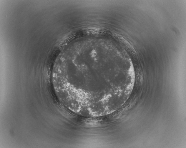 X0000115040661200912071110