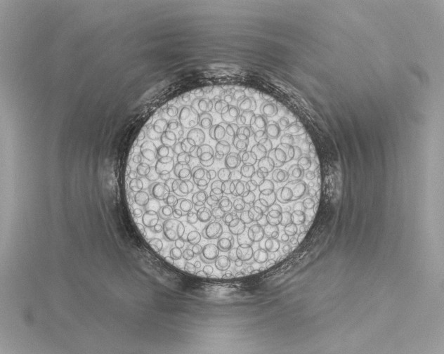 X0000115040662200912071110