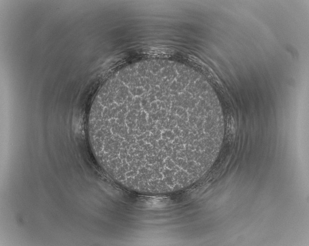 X0000115040663200912071110