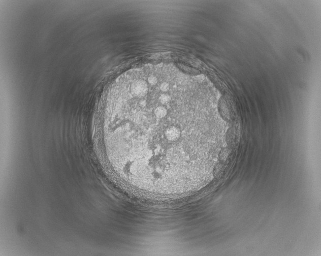 X0000115040664200912071110