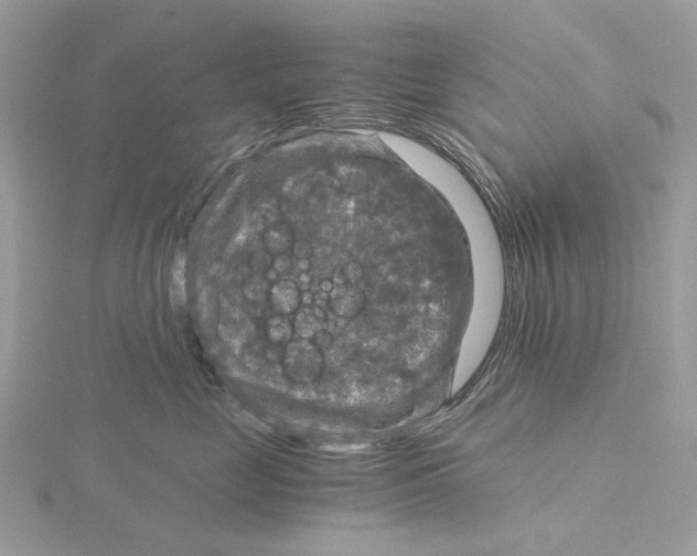 X0000115040669200912071110