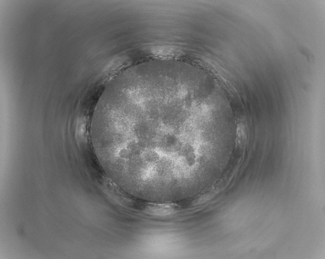 X0000115040671200912071110