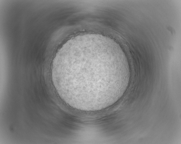 X0000115040672200912071110