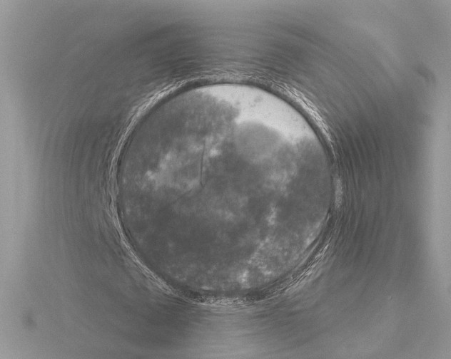 X0000115040673200912071110