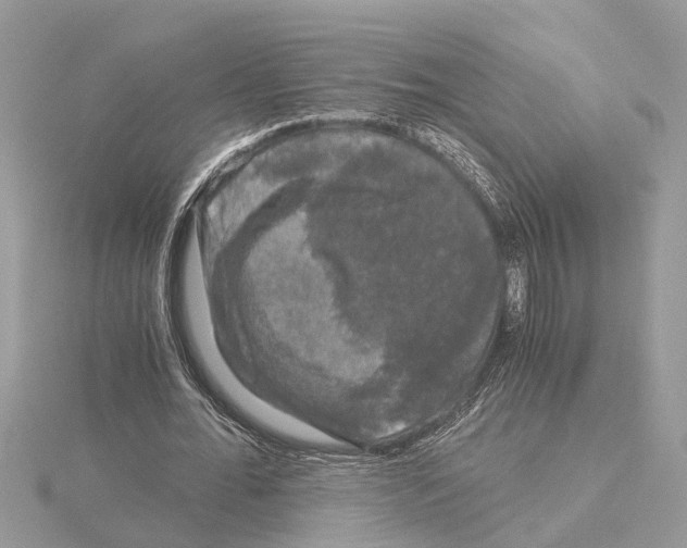 X0000115040676200912071110