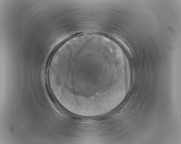 X0000115040677200912071110