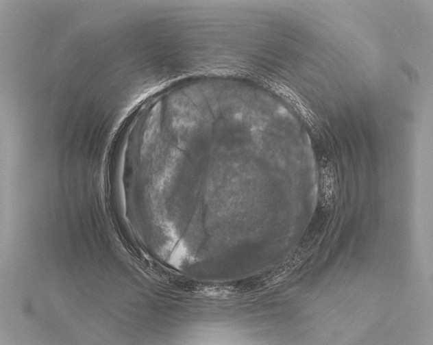 X0000115040680200912071110