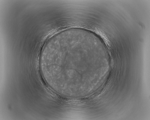 X0000115040681200912071110