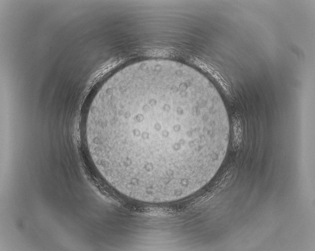 X0000115040682200912071110