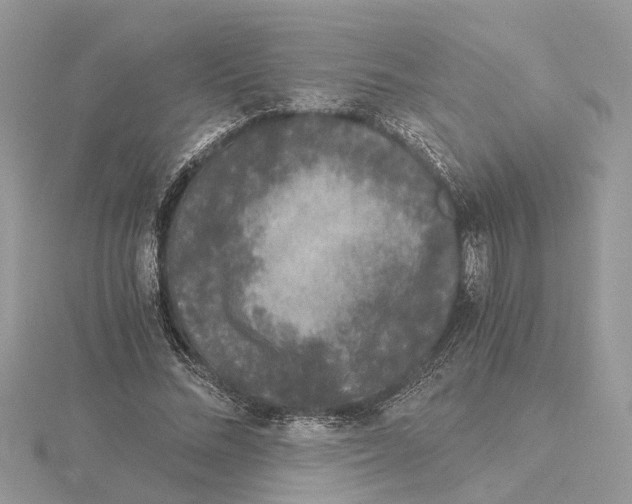 X0000115040684200912071110