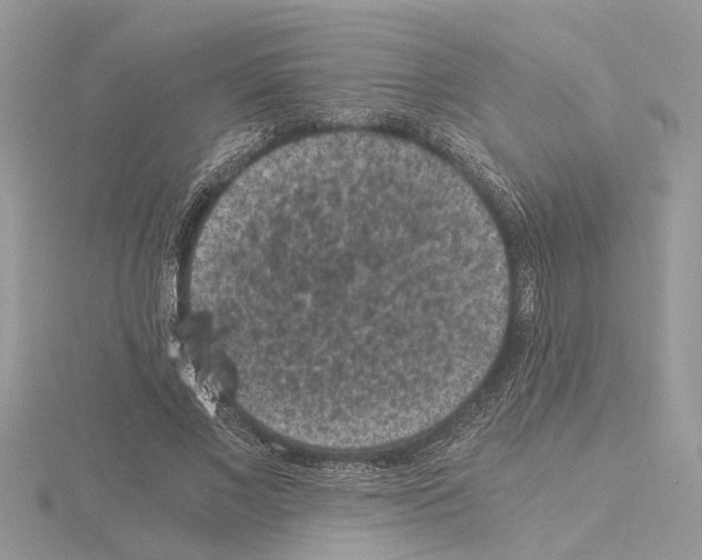 X0000115040685200912071110