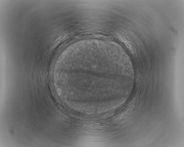 X0000115040689200912071109