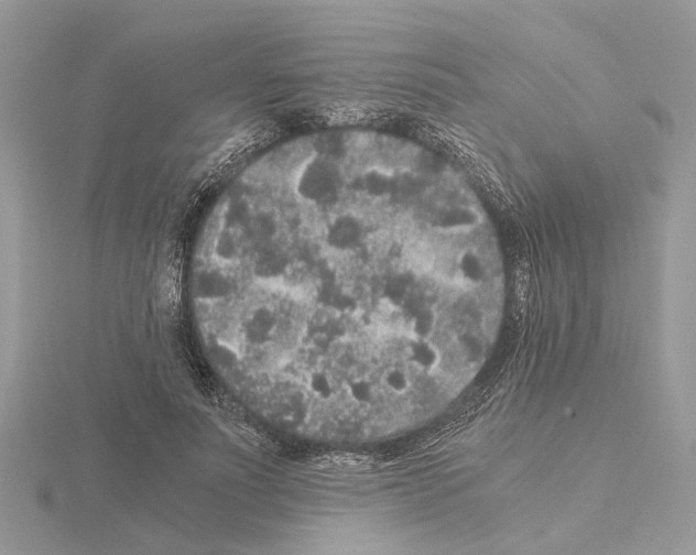 X0000115040691200912071109