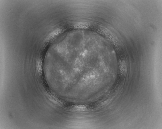 X0000115040692200912071109