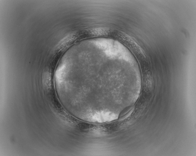 X0000115040696200912071109