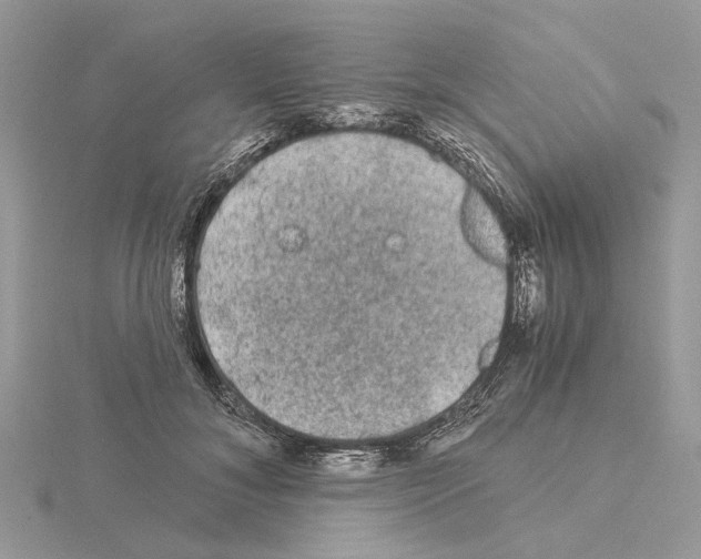 X0000115040700200912071109