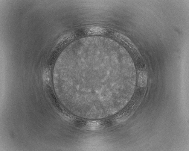 X0000115040701200912071109