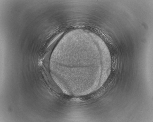 X0000115040704200912071109