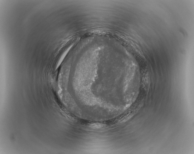 X0000115040708200912071109