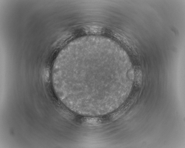 X0000115040709200912071109