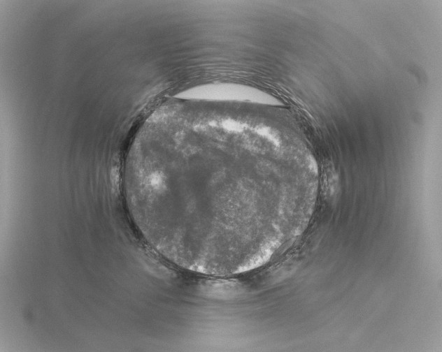 X0000115040716200912071109