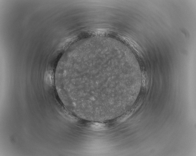 X0000115040718200912071109