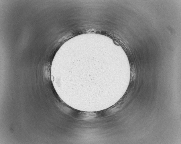 X0000115040719200912071109